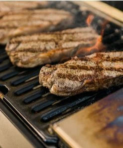 Masterbuilt Portable Charcoal Grill And Smoker