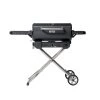 Masterbuilt Portable Charcoal Grill And Smoker With Cart Grills